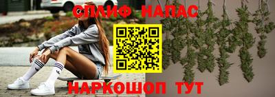 прущие грибы Нарткала